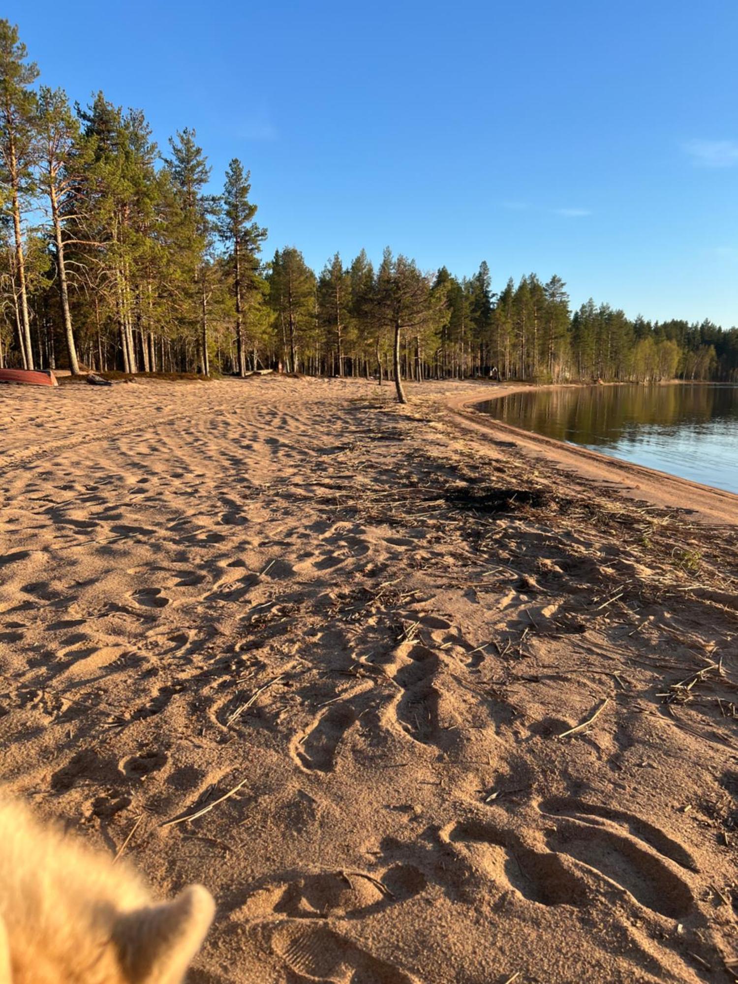 Arctic Hearts - Urlaub Auf Einer Schlittenhundefarm Villa Jorn Eksteriør bilde