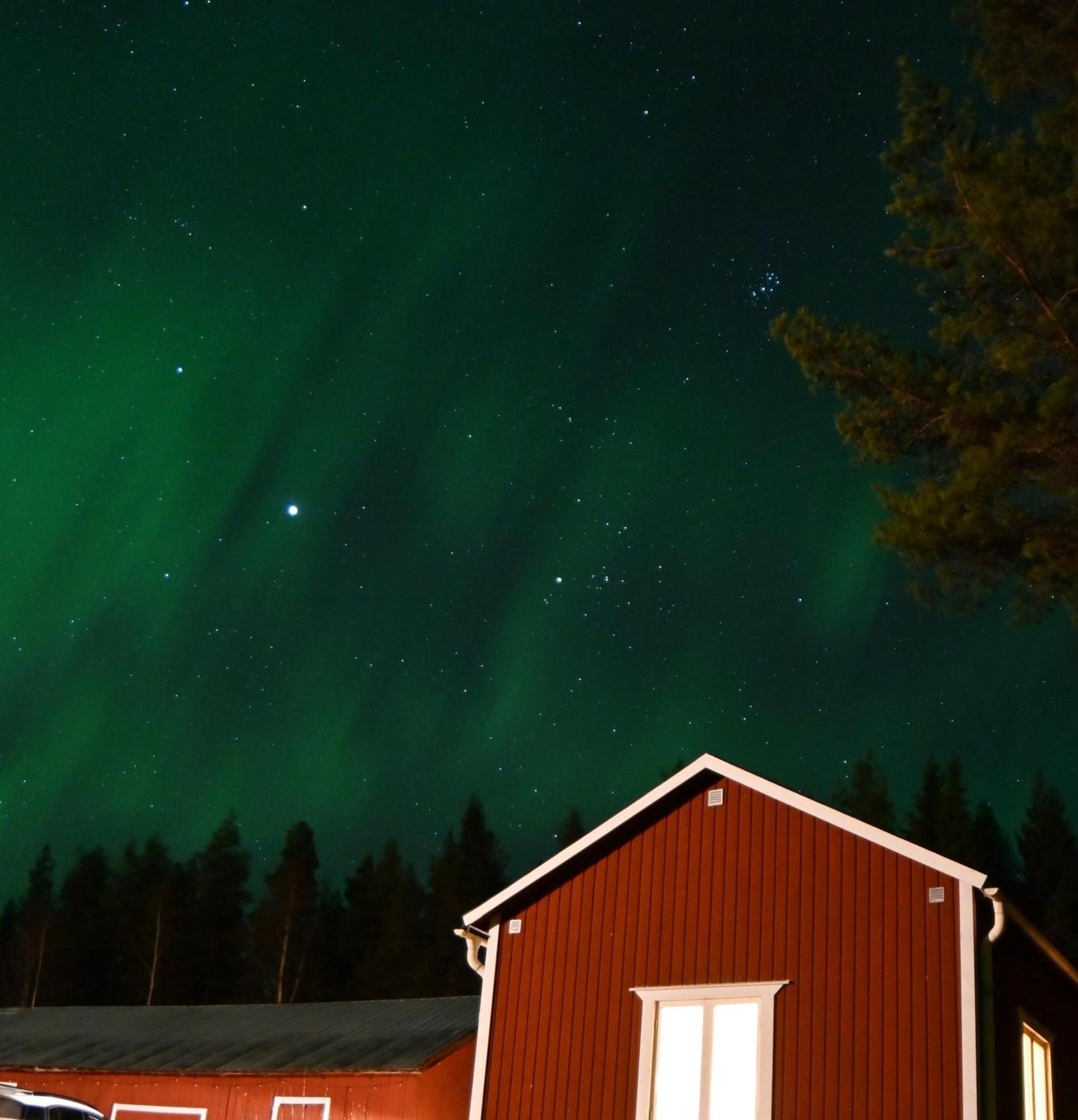 Arctic Hearts - Urlaub Auf Einer Schlittenhundefarm Villa Jorn Eksteriør bilde