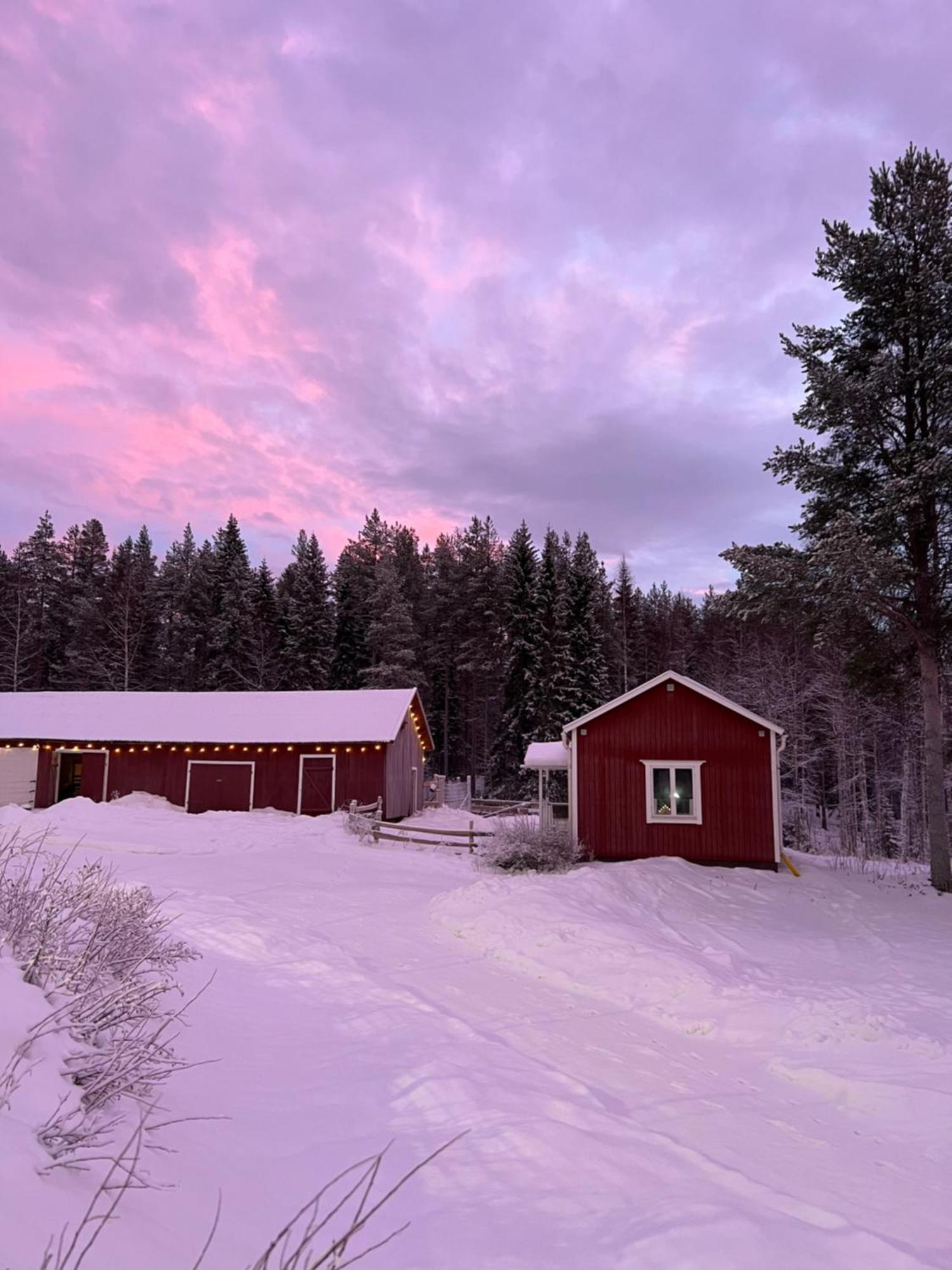 Arctic Hearts - Urlaub Auf Einer Schlittenhundefarm Villa Jorn Eksteriør bilde