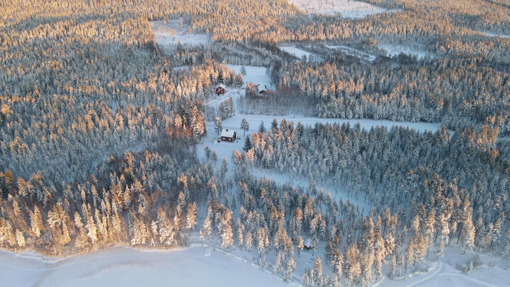 Arctic Hearts - Urlaub Auf Einer Schlittenhundefarm Villa Jorn Eksteriør bilde