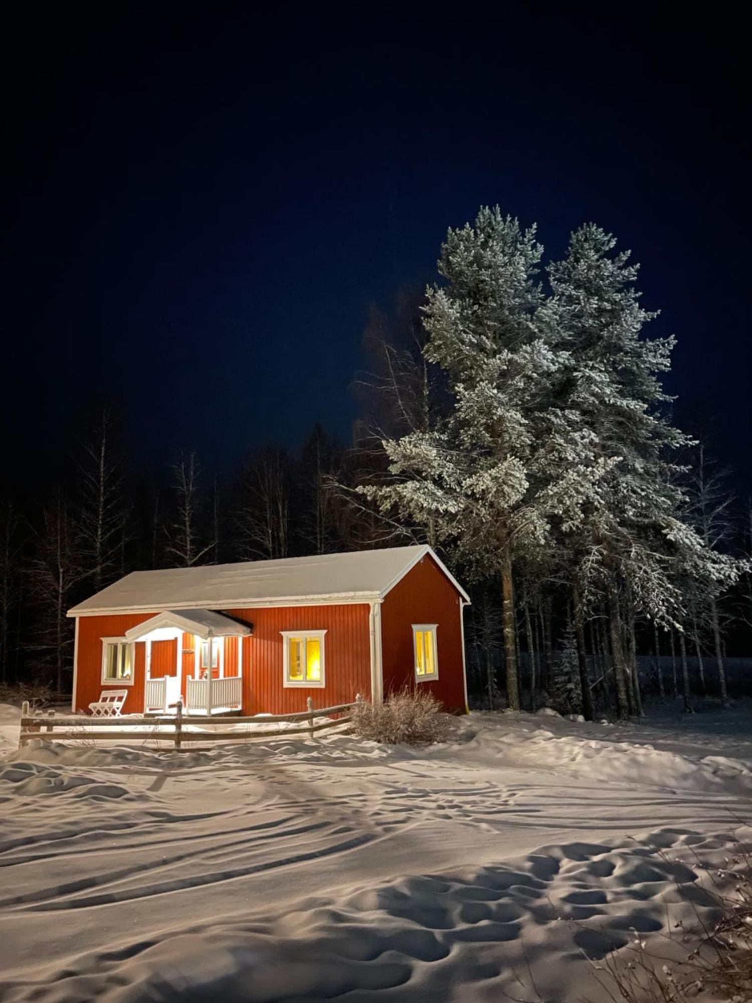 Arctic Hearts - Urlaub Auf Einer Schlittenhundefarm Villa Jorn Eksteriør bilde